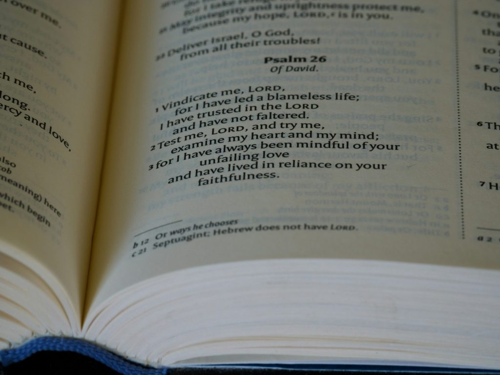 eine Nahaufnahme eines offenen Buches mit Wörtern darauf